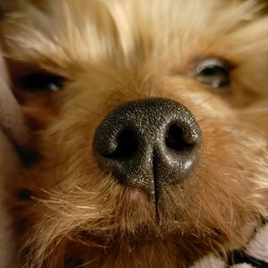 Meet your Posher, Jen